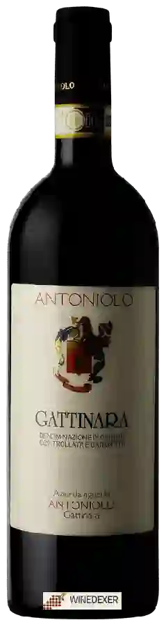 Winery Antoniolo - Gattinara