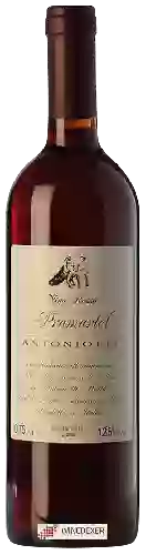 Winery Antoniotti Odilio - Pramartel