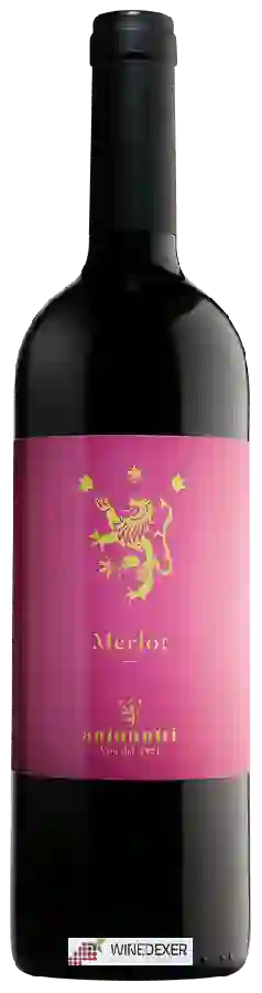 Winery Antonutti - Merlot