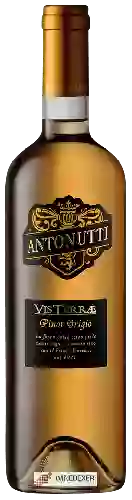 Winery Antonutti - Vis Terrae Pinot Grigio