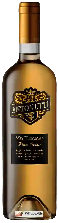 Winery Antonutti - Vis Terrae Pinot Grigio Winery Antonutti - Vis Terrae Pinot Grigio