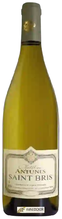 Winery Antunes Matthieu - Saint Bris Winery Antunes Matthieu - Saint Bris