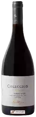 Winery Apaltagua - Colección Limited Edition Pinot Noir