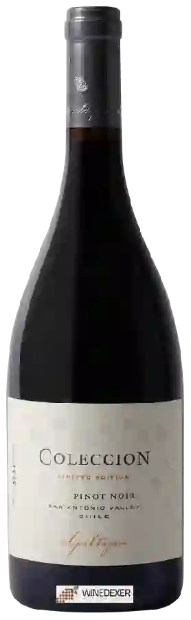Winery Apaltagua - Colección Limited Edition Pinot Noir