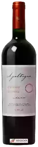 Winery Apaltagua - Envero Carmen&egravere Gran Reserva