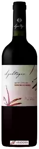 Winery Apaltagua - Gran Verano Cabernet Sauvignon