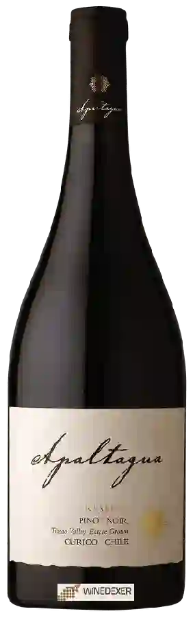 Winery Apaltagua - Pinot Noir Reserva Winery Apaltagua - Pinot Noir Reserva