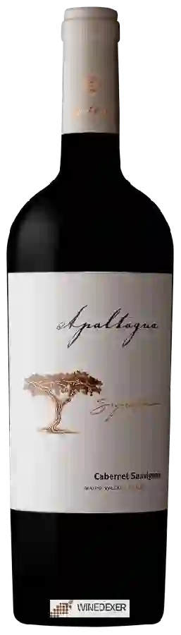 Winery Apaltagua - Signature Cabernet Sauvignon Winery Apaltagua - Signature Cabernet Sauvignon
