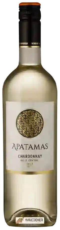 Winery Apatamas - Chardonnay