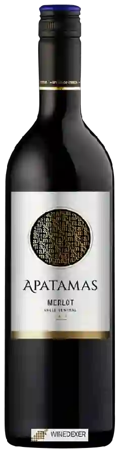 Winery Apatamas - Merlot