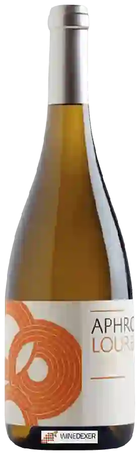 Winery Aphros - Loureiro