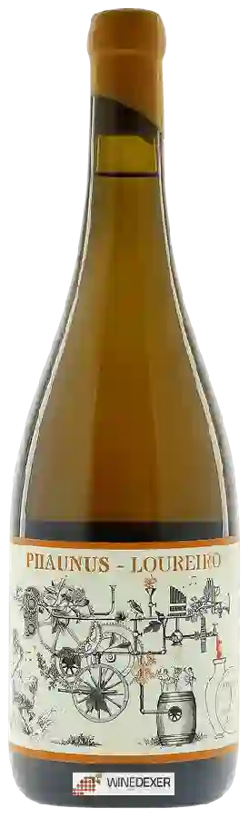 Winery Aphros - Phaunus Loureiro