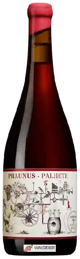 Winery Aphros - Phaunus - Palhete Winery Aphros - Phaunus - Palhete