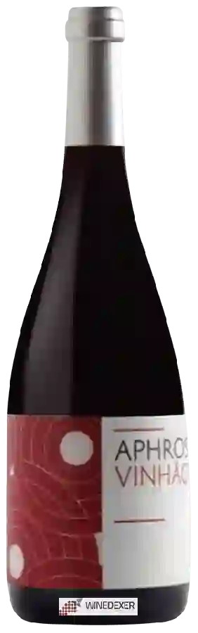 Winery Aphros - Vinh&atildeo