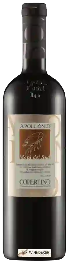 Winery Apollonio - Mani del Sud Copertino Winery Apollonio - Mani del Sud Copertino