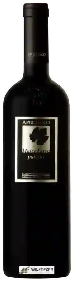 Winery Apollonio - Mater Terra Negroamaro Passito Salento Winery Apollonio - Mater Terra Negroamaro Passito Salento