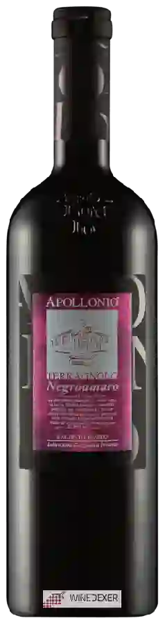 Winery Apollonio - Terragnolo Negroamaro Salento