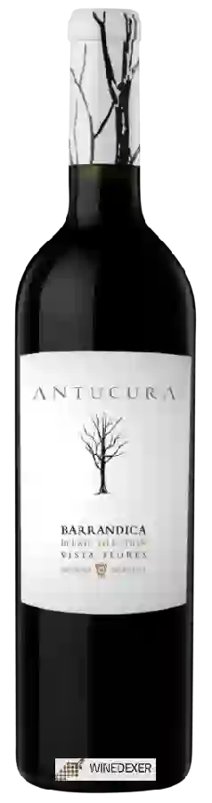 Winery Antucura - Barrandica Blend Selection