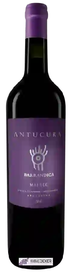 Winery Antucura - Barrandica Malbec
