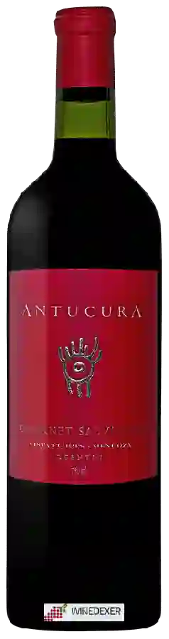 Winery Antucura - Cabernet Sauvignon Winery Antucura - Cabernet Sauvignon