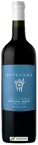 Winery Antucura - Calcura