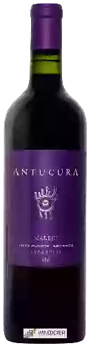 Winery Antucura - Malbec