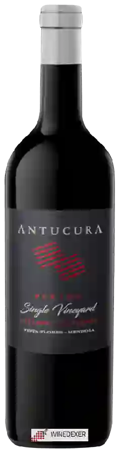 Winery Antucura - Pukara Single Vineyard Cabernet Sauvignon