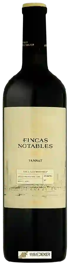 Winery El Esteco - Series Fincas Notables Tannat
