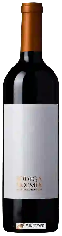 Bodega Noemìa - Malbec