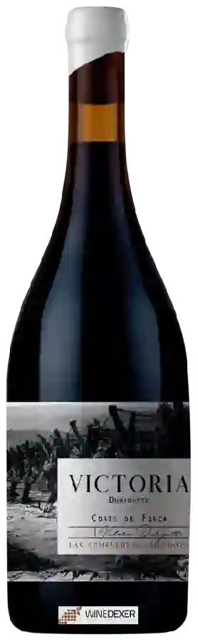 Winery Durigutti - Victoria Durigutti - Corte de Finca