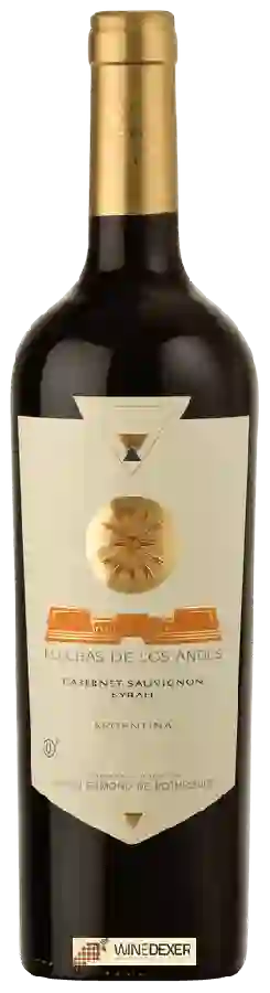 Winery Flechas de los Andes - Cabernet Sauvignon - Syrah