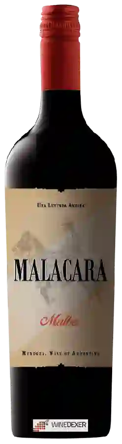 Winery Malacara - Malbec