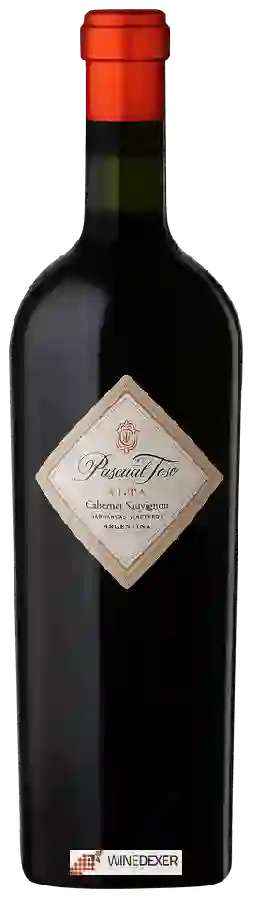 Winery Pascual Toso - Alta Cabernet Sauvignon