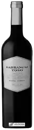 Winery Pascual Toso - Barrancas Toso Red