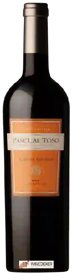 Winery Pascual Toso - Cabernet Sauvignon