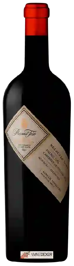Winery Pascual Toso - Finca Pedregal Single Vineyard Malbec - Cabernet Sauvignon Winery Pascual Toso - Finca Pedregal Single Vineyard Malbec - Cabernet Sauvignon