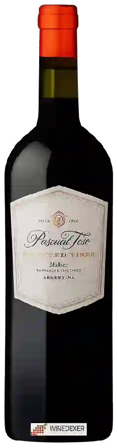 Winery Pascual Toso - Selected Vines Malbec (Barrancas Vineyards)