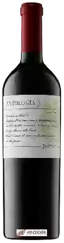 Winery Rutini - Antología XXXIV