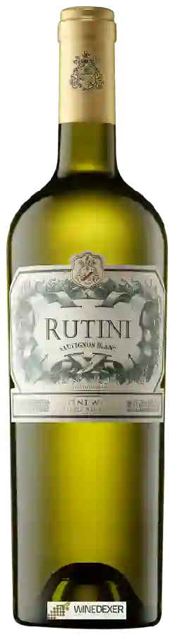Winery Rutini - Sauvignon Blanc Winery Rutini - Sauvignon Blanc