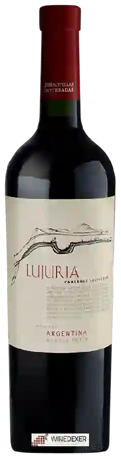 Winery Suter - Lujuria Cabernet Sauvignon Winery Suter - Lujuria Cabernet Sauvignon