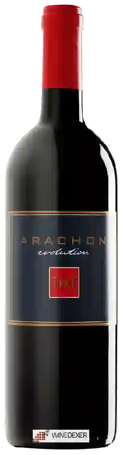 Winery Arachon - Evolution