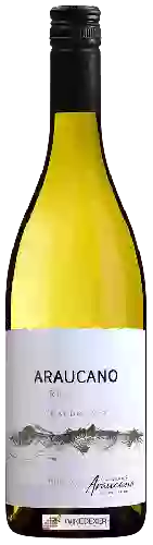 Winery Araucano - Chardonnay Reserva