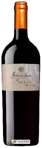 Winery Araucano - Clos de Lolol Red