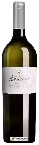 Winery Araucano - Clos de Lolol White