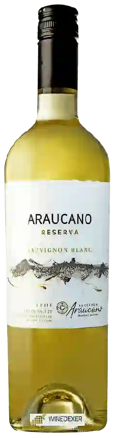 Winery Araucano - Sauvignon Blanc Reserva