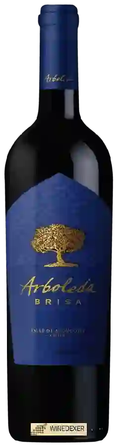 Winery Arboleda - Brisa