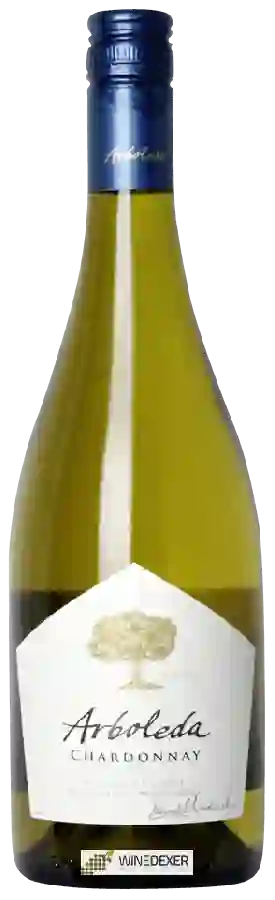 Winery Arboleda - Chardonnay