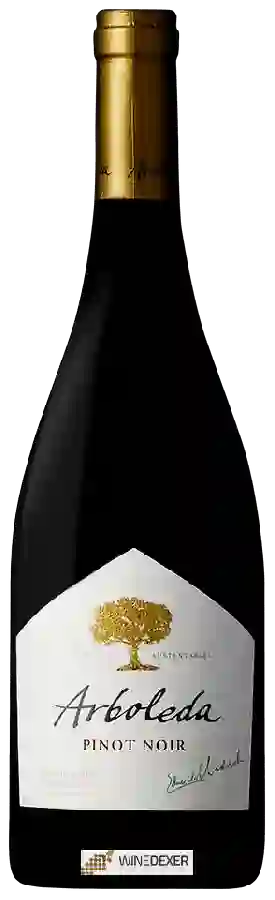 Winery Arboleda - Pinot Noir