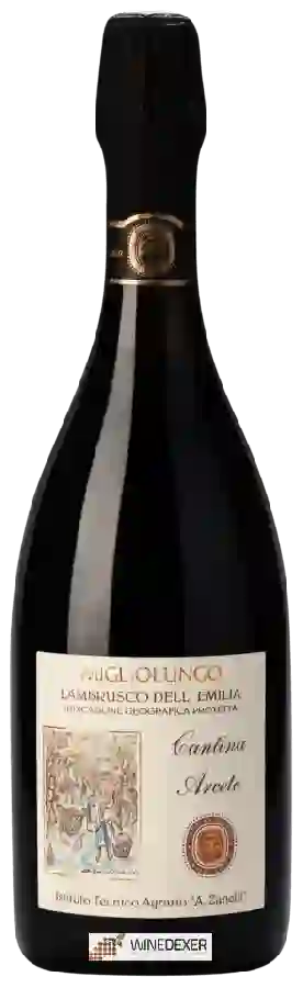 Winery Arceto - Vigna Migliolungo Lambrusco dell'Emilia