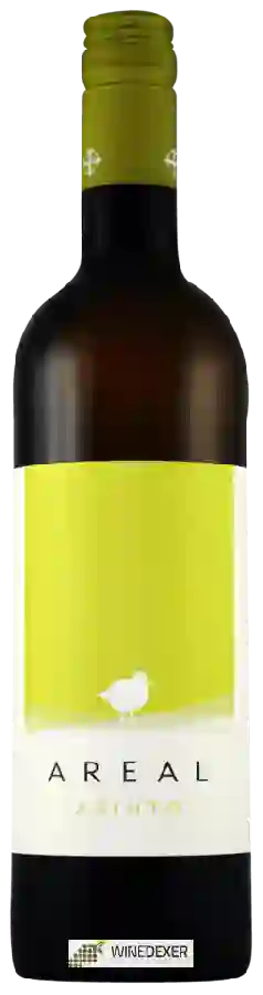 Winery Areal - Arinto